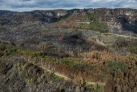 Národní park České Švýcarsko po rozsáhlém požáru (ilustrační foto).
