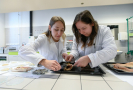 Vědci ze zlínské univerzity zkoumají využití zbytků z kapra na želatinu.