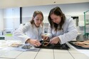 Vědci ze zlínské univerzity zkoumají využití zbytků z kapra na želatinu.