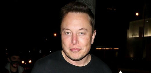Majitel americké internetové společnosti Twitter Elon Musk.