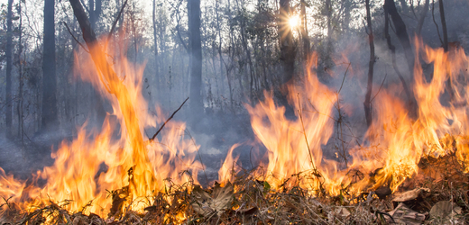 V některých oblastech v Česku hrozí požáry