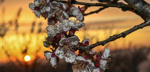Dnes začíná astronomické jaro, jarní počasí ale panuje v ČR už delší dobu