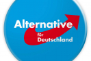 Poslanec Bystroň po jednání Alternativy pro Německo cítí jasnou podporu vedení 