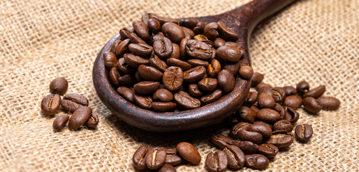 EU poskytne Ugandě grant v hodnotě 40 milionů eur, finance mají sloužit na pomoc s následky odlesňování kvůli dovozu kávy do EU