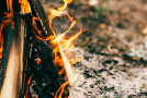 Státní podnik Lesy České republiky kvůli riziku požárů zakázal ve svých lesích od dubna do konce října pálení klestí