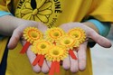 Lidé se dnes mohou zakoupením žluté květiny s růžovou stužkou zapojit do tradiční sbírky proti rakovině