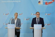Europarlamentní frakce Identita a demokracie vyloučila Alternativu pro Německo