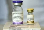 Nová nebo prasečí chřipka se v Česku objevila v květnu 2009