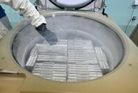 Transplantace kostní dřeně zachraňují v ČR životy dětem už 35 let