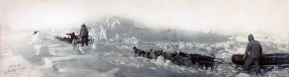 Expedice na severní pól Williama Zieglera 1903 až 1904.