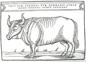 Ilustrace pratura z roku 1556.