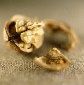 Vlaské ořechy prý dokáží zpomalit rakoviné bujení.