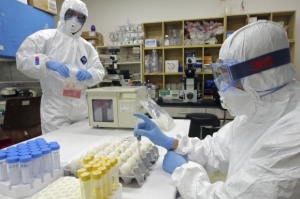 Američtí epidemiologové zkoumají vzorky nakaženého vepřového.