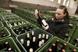 O přízeň degustátorů se letos ucházelo 953 vzorků vín z Česka a ciziny