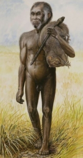 Hobit aneb Homo floresiensis - antropologická senzace století.