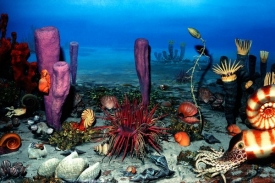 Vymírání postihlo především mořské živočichy.