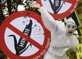 Ekologičtí aktivisté prezentují GMO jako něco smrtelně nebezpečného.
