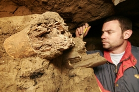 Archeolog Ivo Šterc čistí mamutí kly objevené v Milovicích.