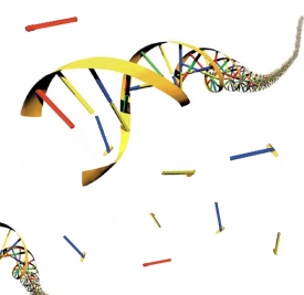 Prní živá molekula se mohla podobat DNA, ale byla jednodušší.