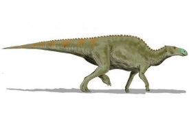 Edmontosaurus patřil k hlavním býložravcům z konce dinosauří éry.