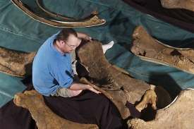 Paleontolog Scott Hocknull zkoumá Matildiny kosti.