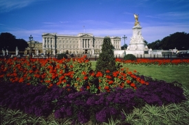 Buckinghamský zahradník pečuje kromě květin nyní i o zeleninu.
