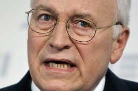 Za vším měl stát viceprezident Dick Cheney.