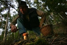 Mykologové objevili na Moravě vzácné druhy hub.
