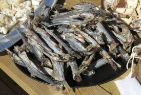 Hlavním zdrojem obživy Gróňanů jsou ryby.
