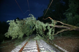 Spadlý strom byl příčinou nehody vlaku u Brandýsa nad Labem.