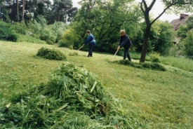 Neopatrnost při sekání trávy má hrůzné následky (ilustrační foto).