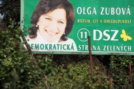 Z billboardů se Zubová smála i během kampaně před eurovolbami, za DSZ.