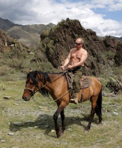 Rozeklané skály v divočině, bujný oř a Vladimir Putin. Vzor pro Rusy.