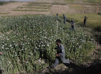 Policisté ničí opiové pole v provincii Badachšán.