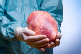 Chirurg s lidským srdcem (ilustrační snímek).