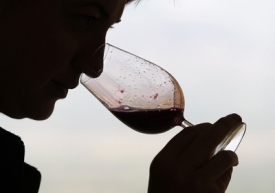 Příští rok prý ceny vín mohou spadnout ještě více.
