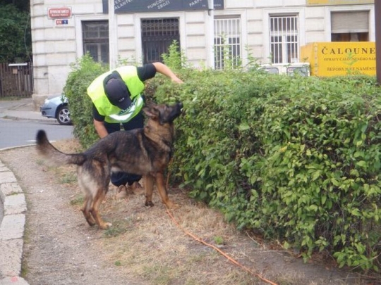 Okolí místa činu ohledávali policisté se psy.
