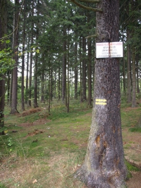 Cedule brání běžným smrtelníkům v přístupu do lesa.