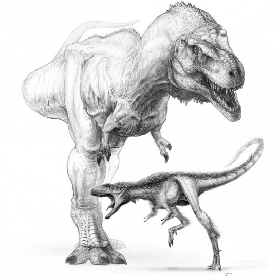 Raptorex vedle tyranosaura působí jako učiněný drobeček.