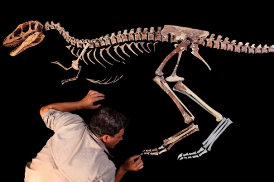 Paleontolog Paul Sereno s kostrou nově objeveného druhu.