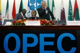 Země OPEC již druhý měsíc snižují těžbu. Bojují proti nízkým cenám.