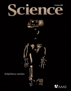 Titulní strana Science s kostrou Ardi.