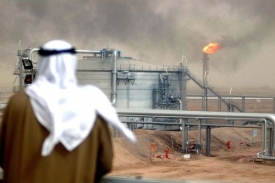 Země OPEC produkují okolo 35 procent světové ropy.