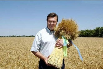 V průzkumech vede proruský kandidát na prezidenta Janukovič.