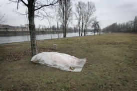 Chladné počasí a alkohol zabily bezdomovce (ilustrační foto).