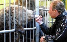 Cirkusový medvěd v Rusku (ilustrační foto).
