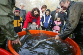 Rekordní množství lidí navštívilo o víkendu výlovy rybníků.