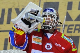 Hokejový gólman Dominik Hašek se zranil v nedělním utkání.