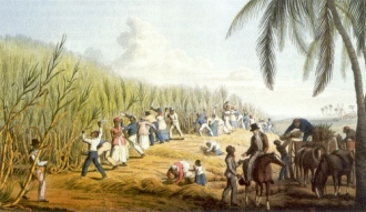 Ještě 'oficiální' otroci na brazilských plantážích.