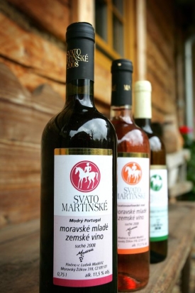 Vinaři letos vyrobili na 800 tisíc lahví se Svatomartinským vínem.